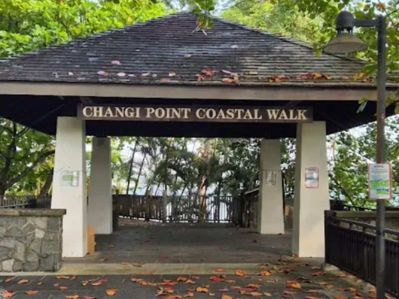 Changi Boardwalk